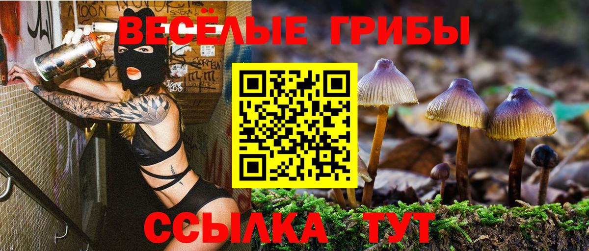 Псилоцибиновые грибы MAGIC MUSHROOMS Сарапул